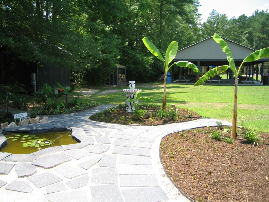 View-of-Pond-.jpg