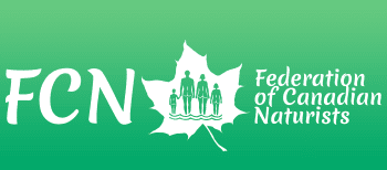 FCN logo